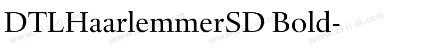 DTLHaarlemmerSD Bold字体转换